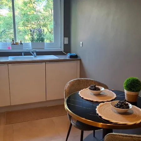 Apartament 115 M2 Garage Tram St Maur