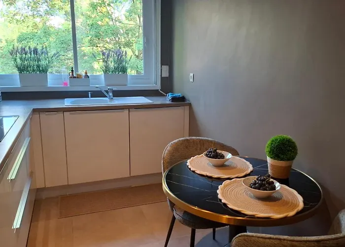 Apartment 115 M2 Garage Tram St Maur